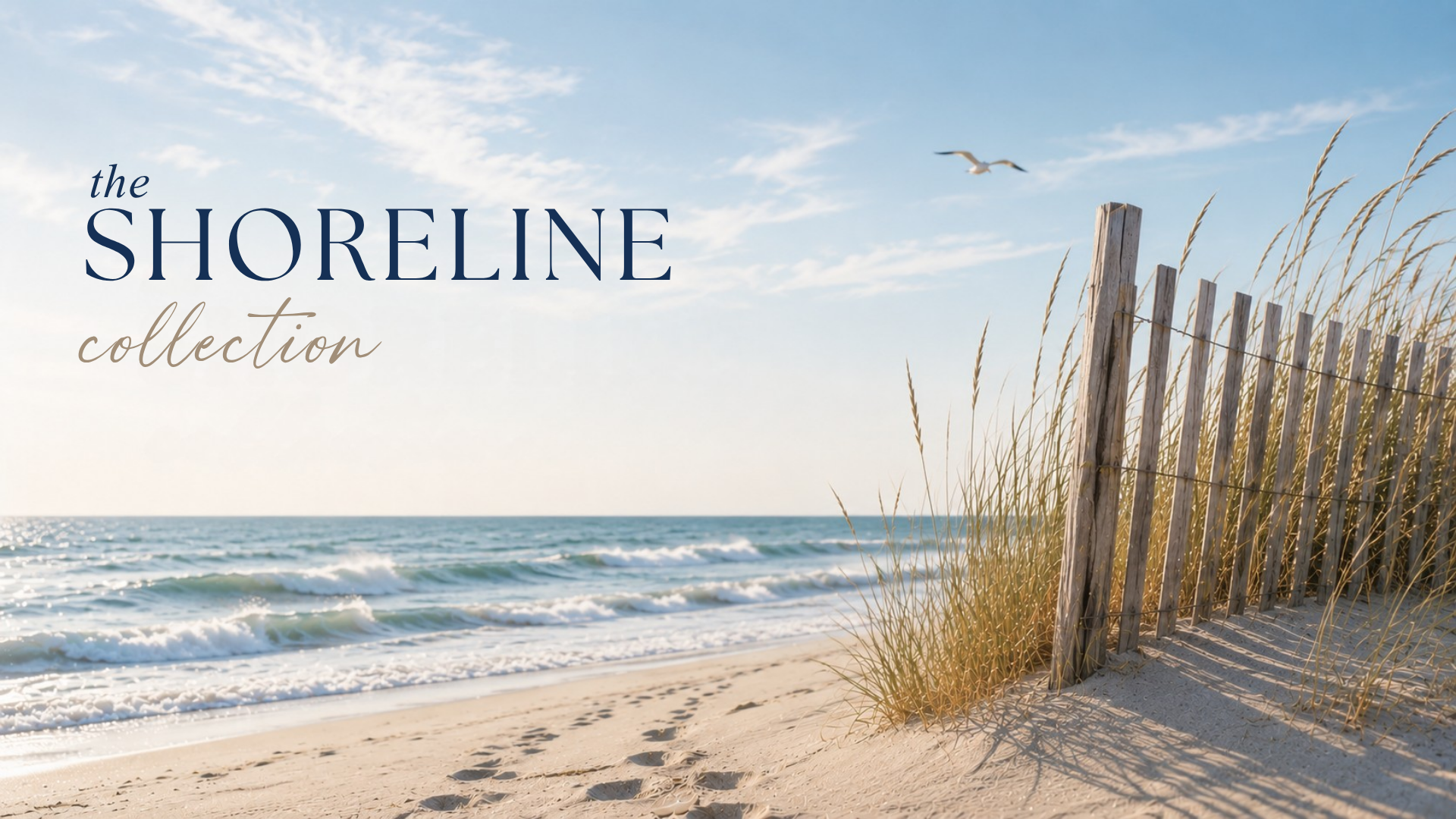The Shoreline Collection