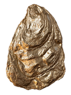 Glacier Flat Oyster Keepsake Dish