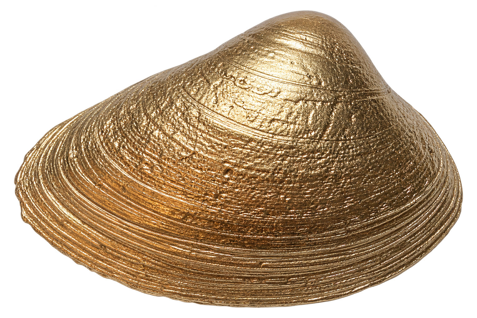 Mother of Pearl Clam Keepsake Dish