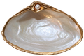 Mother of Pearl Clam Keepsake Dish