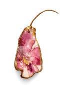Palm & Petal Oyster Ornament